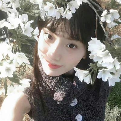 美味情缘国语