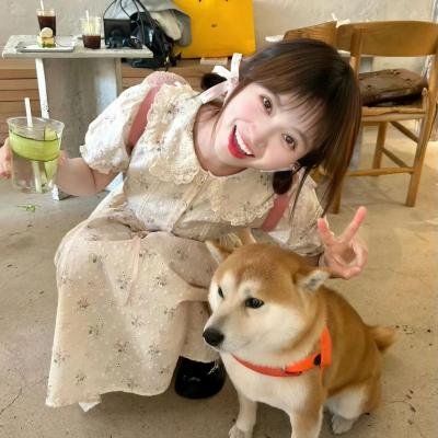 蚊子海岸第二季